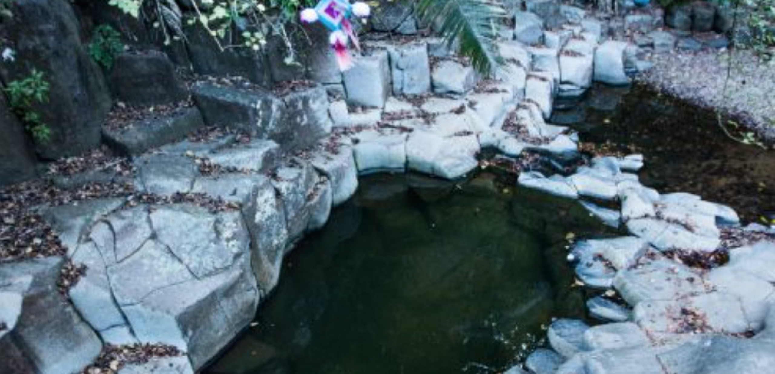 Petroglifos Mexico