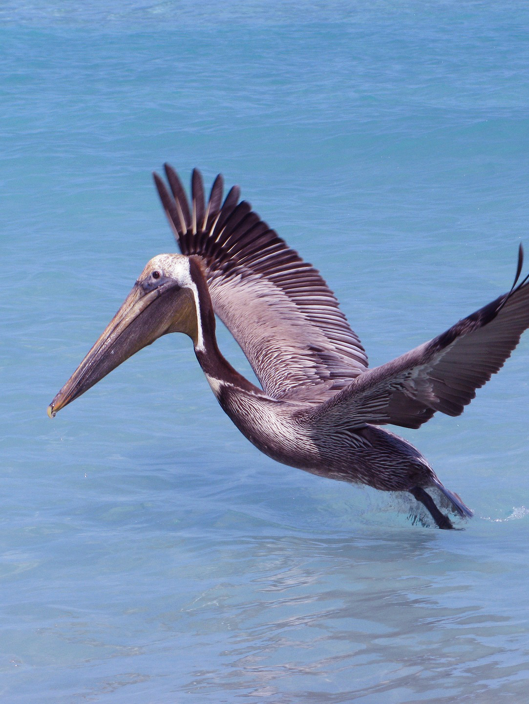 Riviera Nayarit Chacala